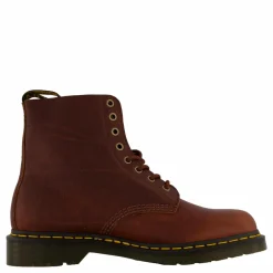 Dr Martens 1460 Pascal Cashew Ambassador