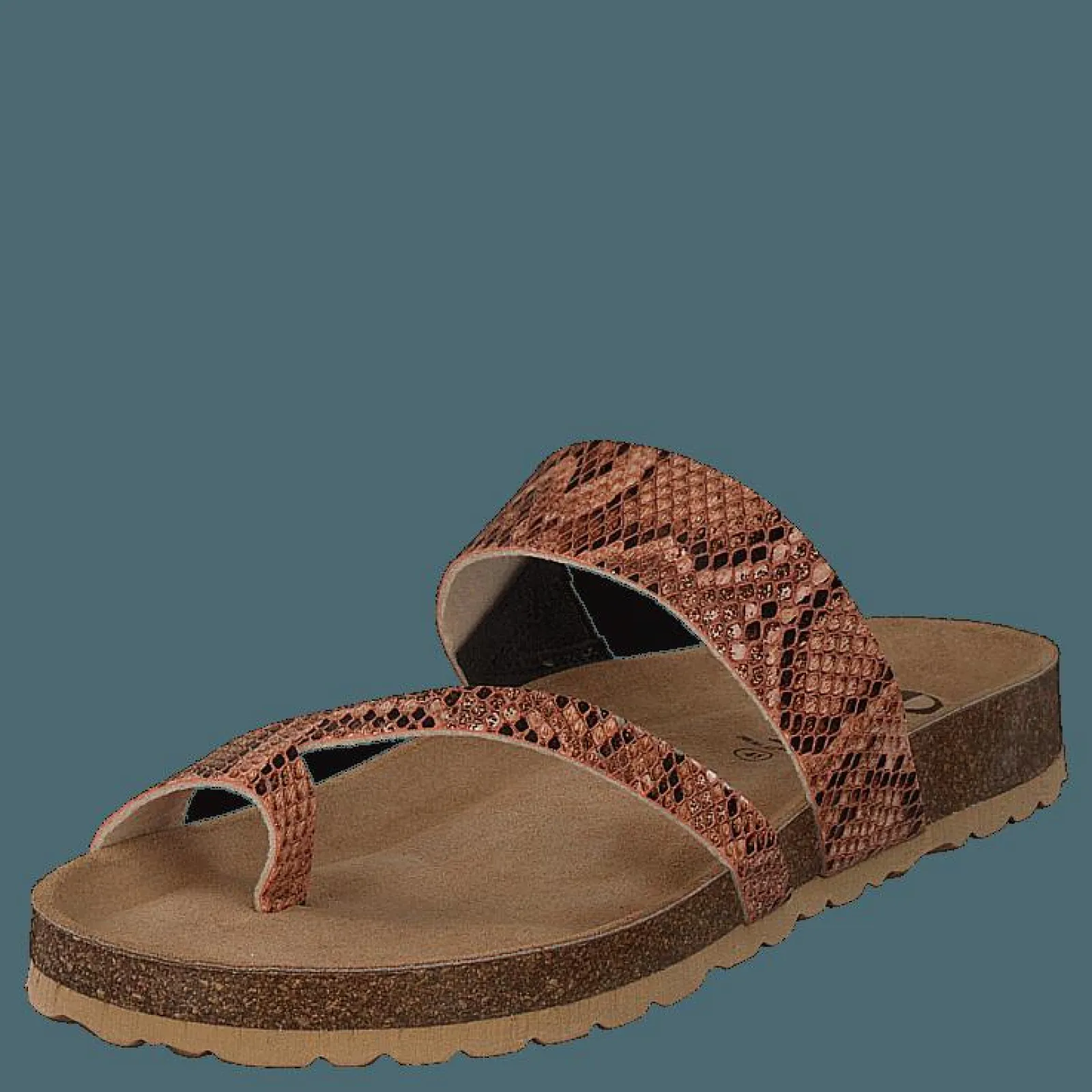 Axelda Adan Sand Snake