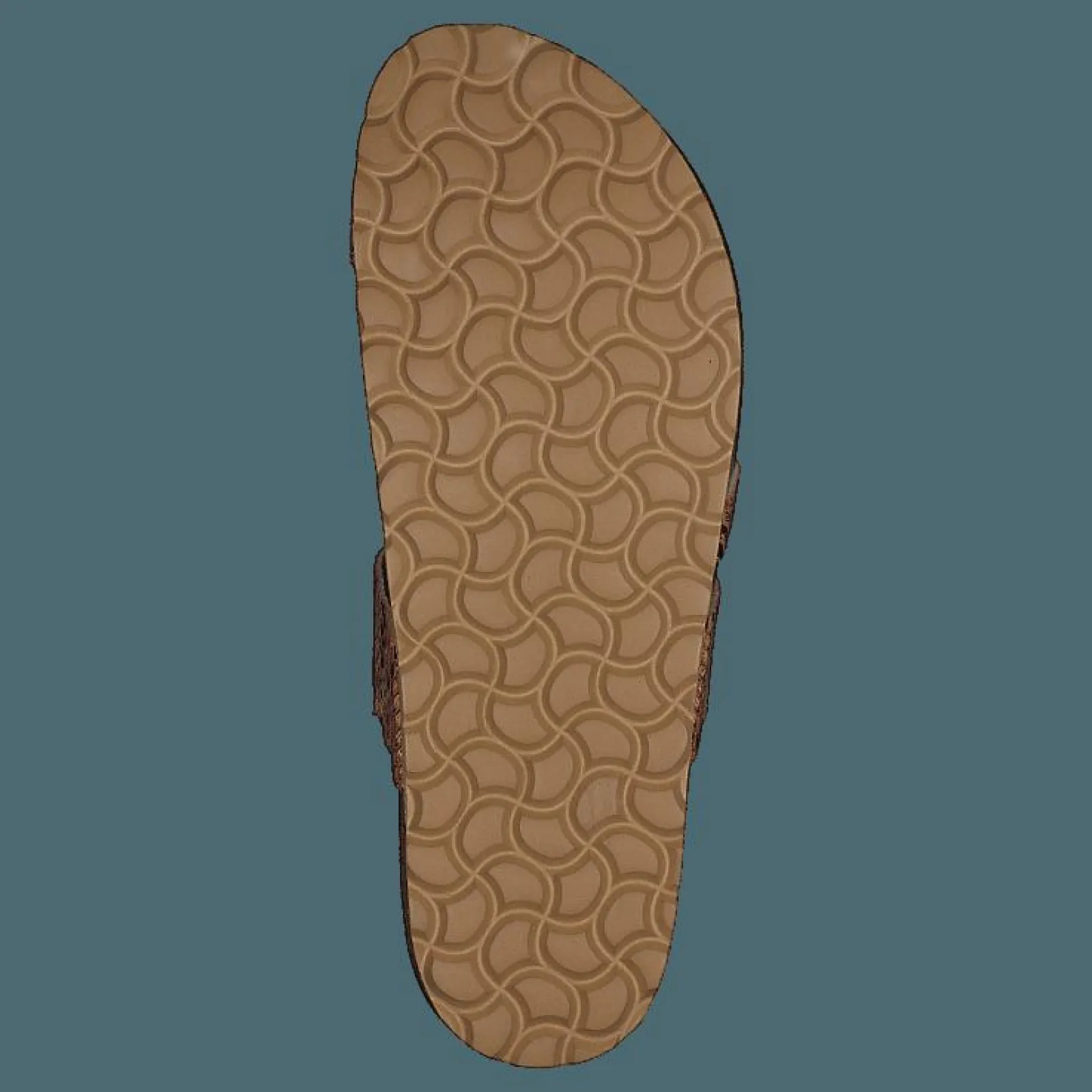 Axelda Adan Sand Snake