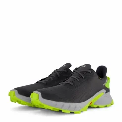 Salomon Alphacross 4 Gtx Ebony/pearl Blue/acid Lime
