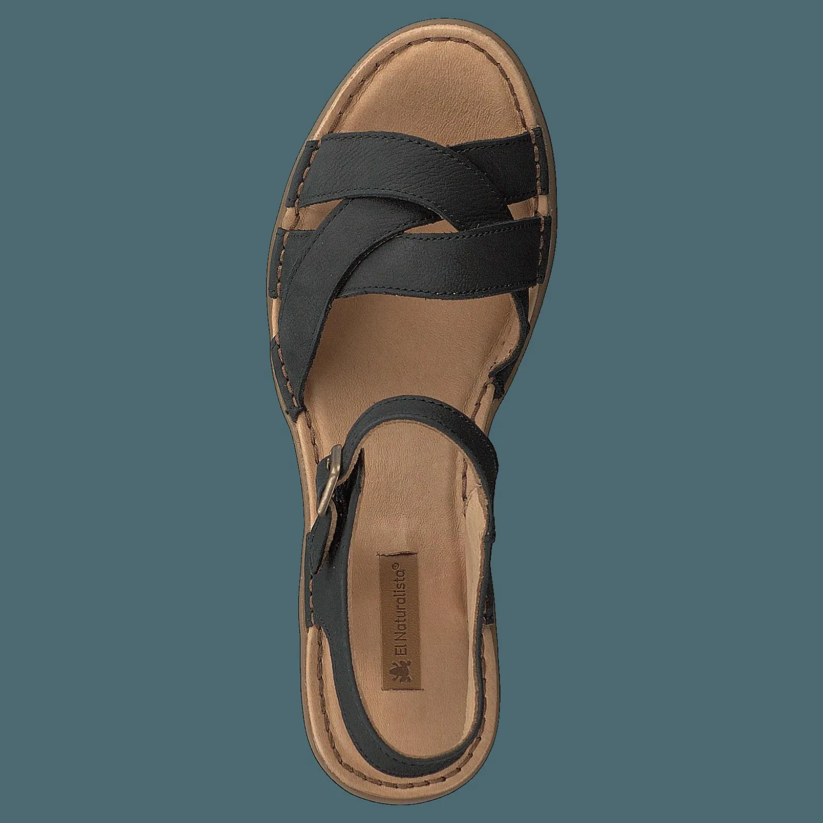 El Naturalista Aqua Black