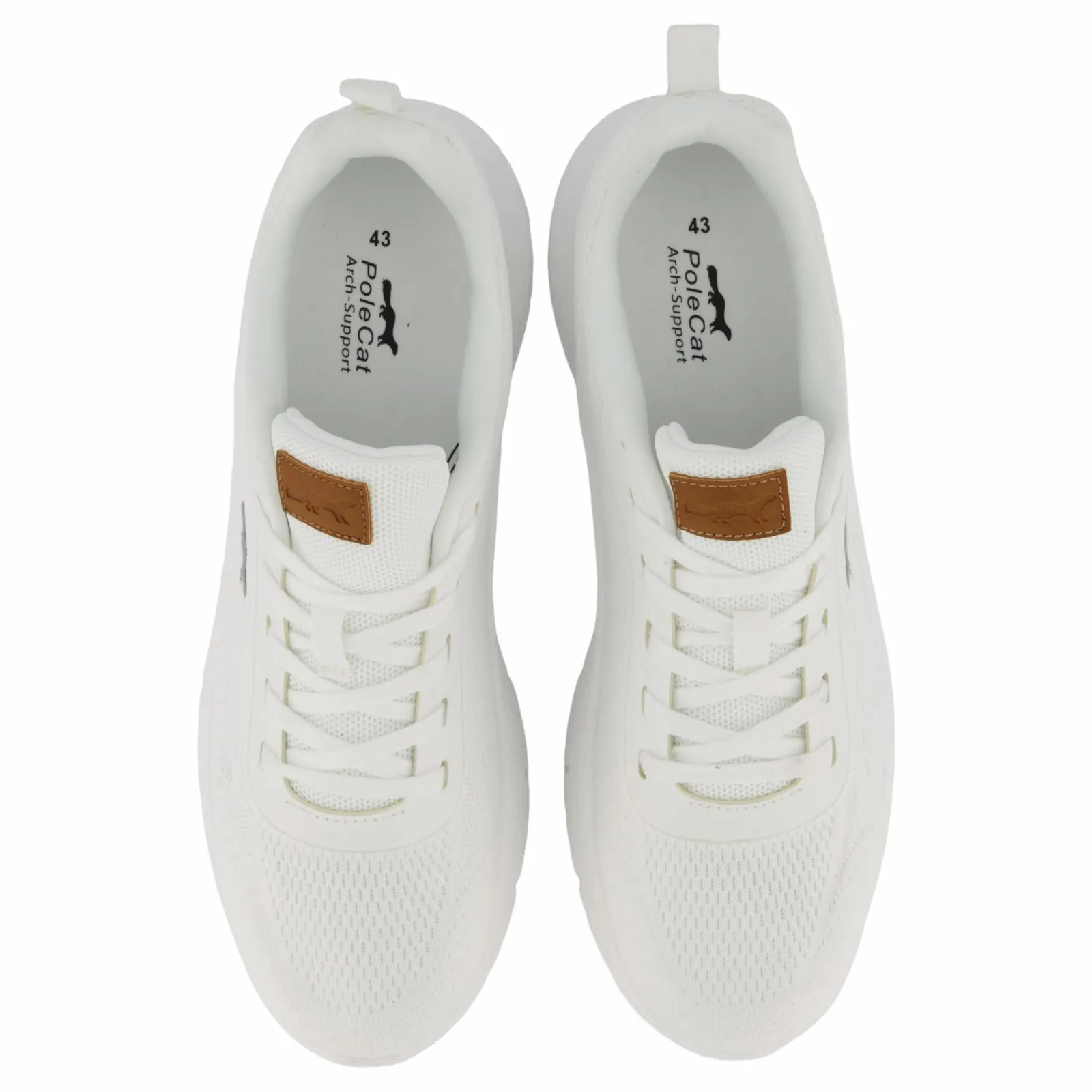 Polecat Arcus California White