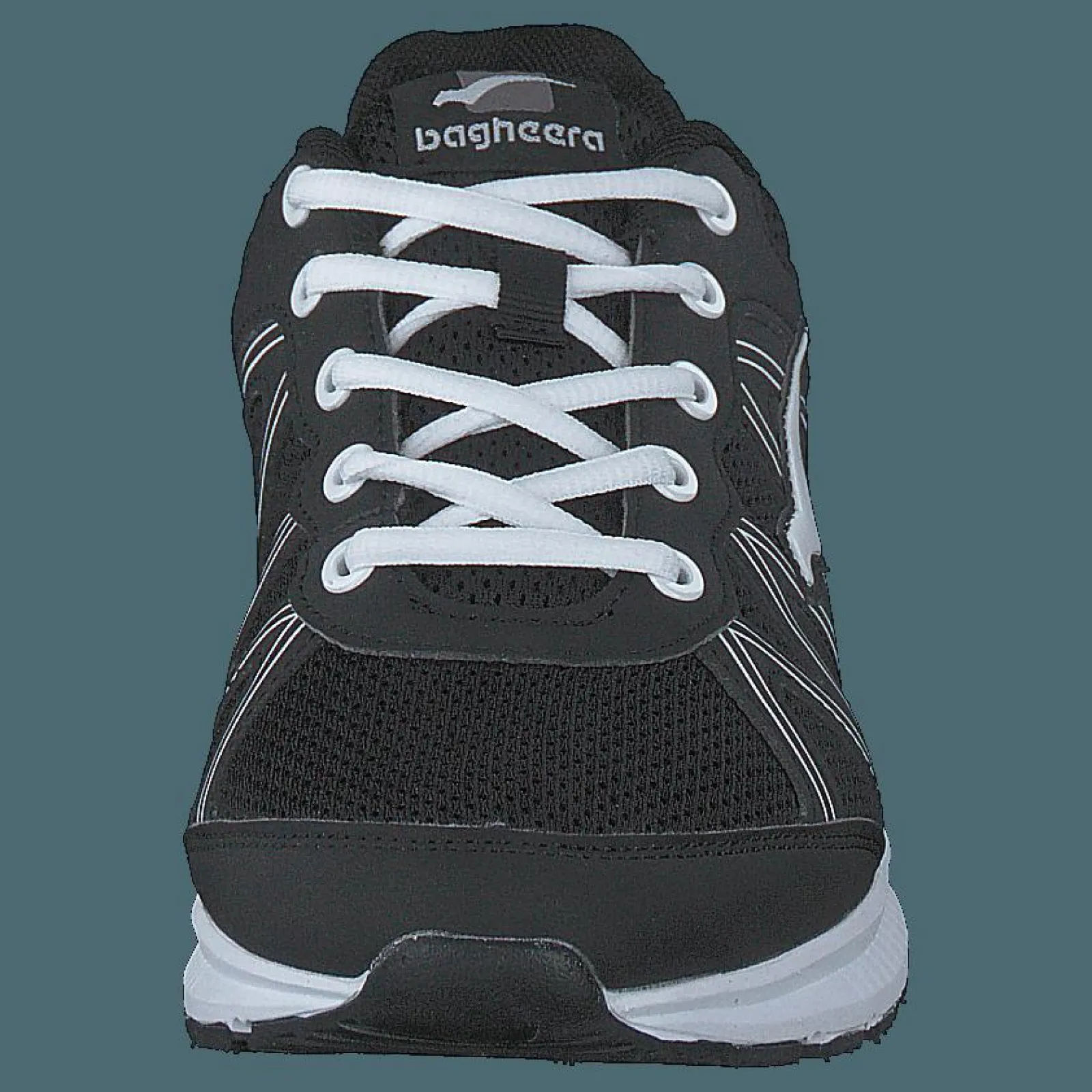 Bagheera Aurora Black/white