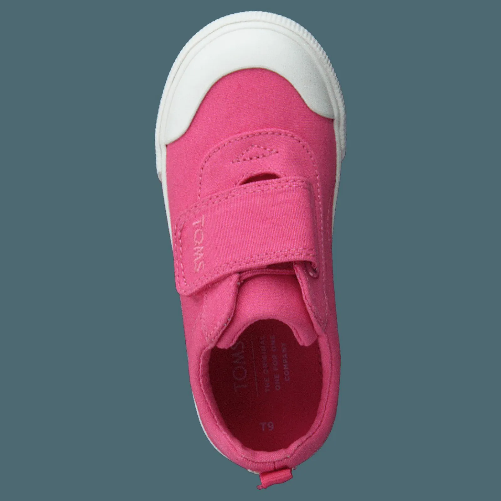 Barn Toms Bblgum Pnk Canvas Tn Dohny Sne Pink