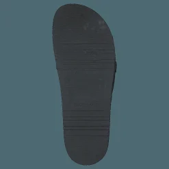 Philip Hog Bea Black