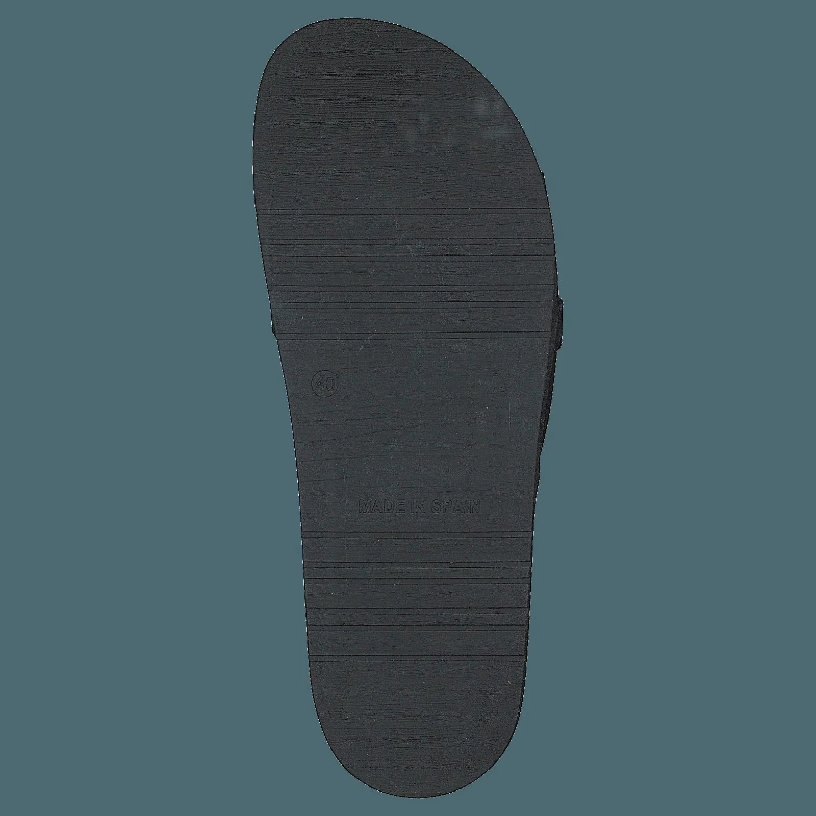 Philip Hog Bea Black