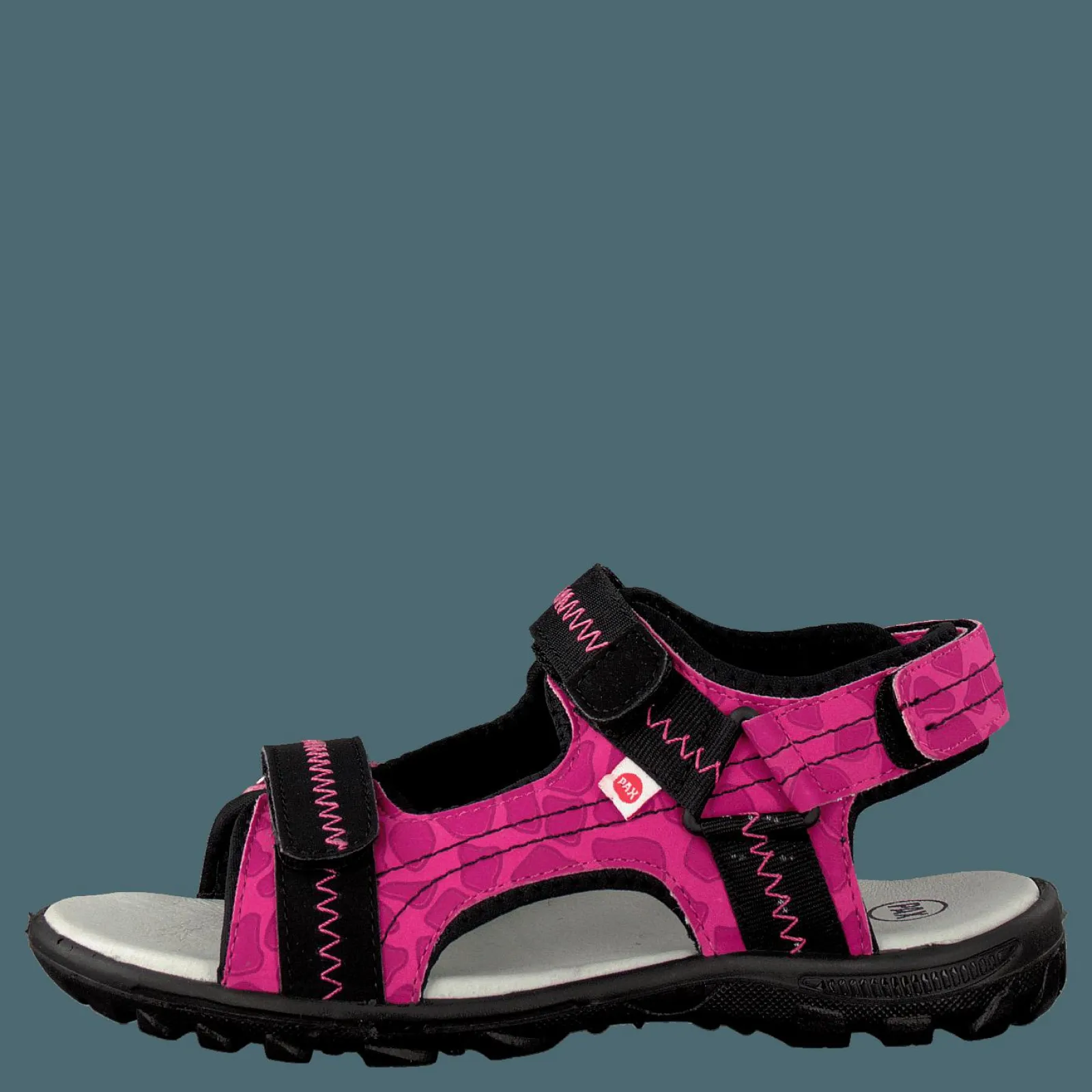 Barn Pax Beetle Lilac