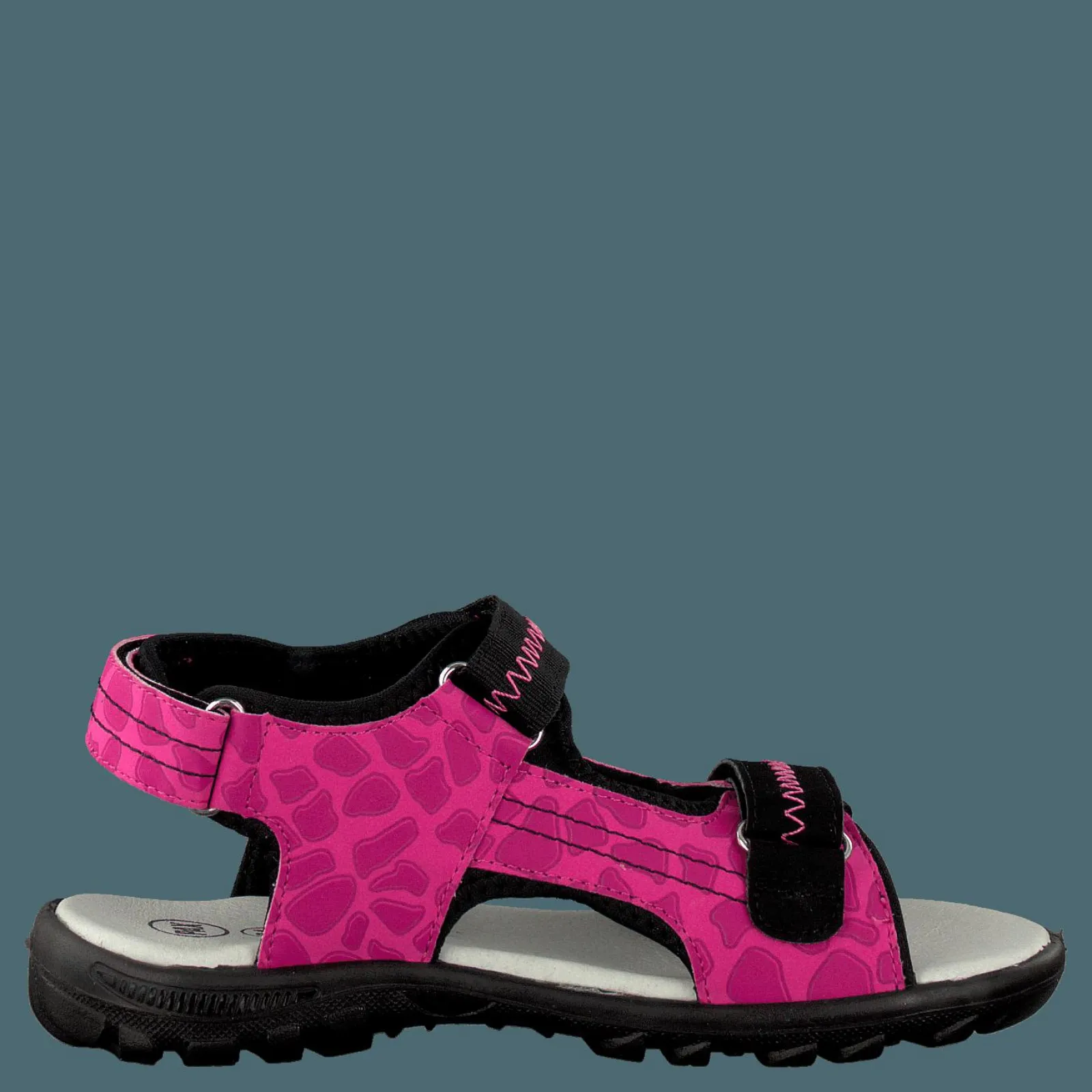 Barn Pax Beetle Lilac