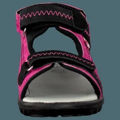 Barn Pax Beetle Lilac