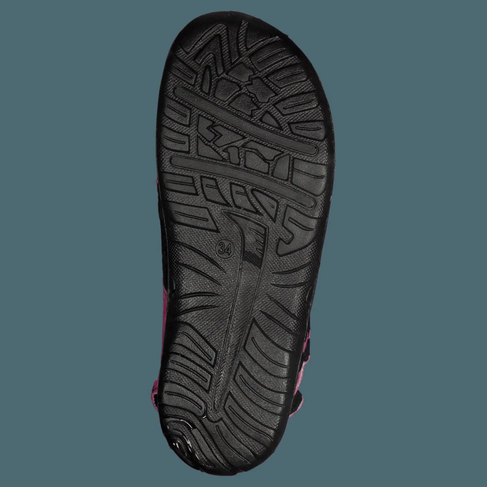 Barn Pax Beetle Lilac