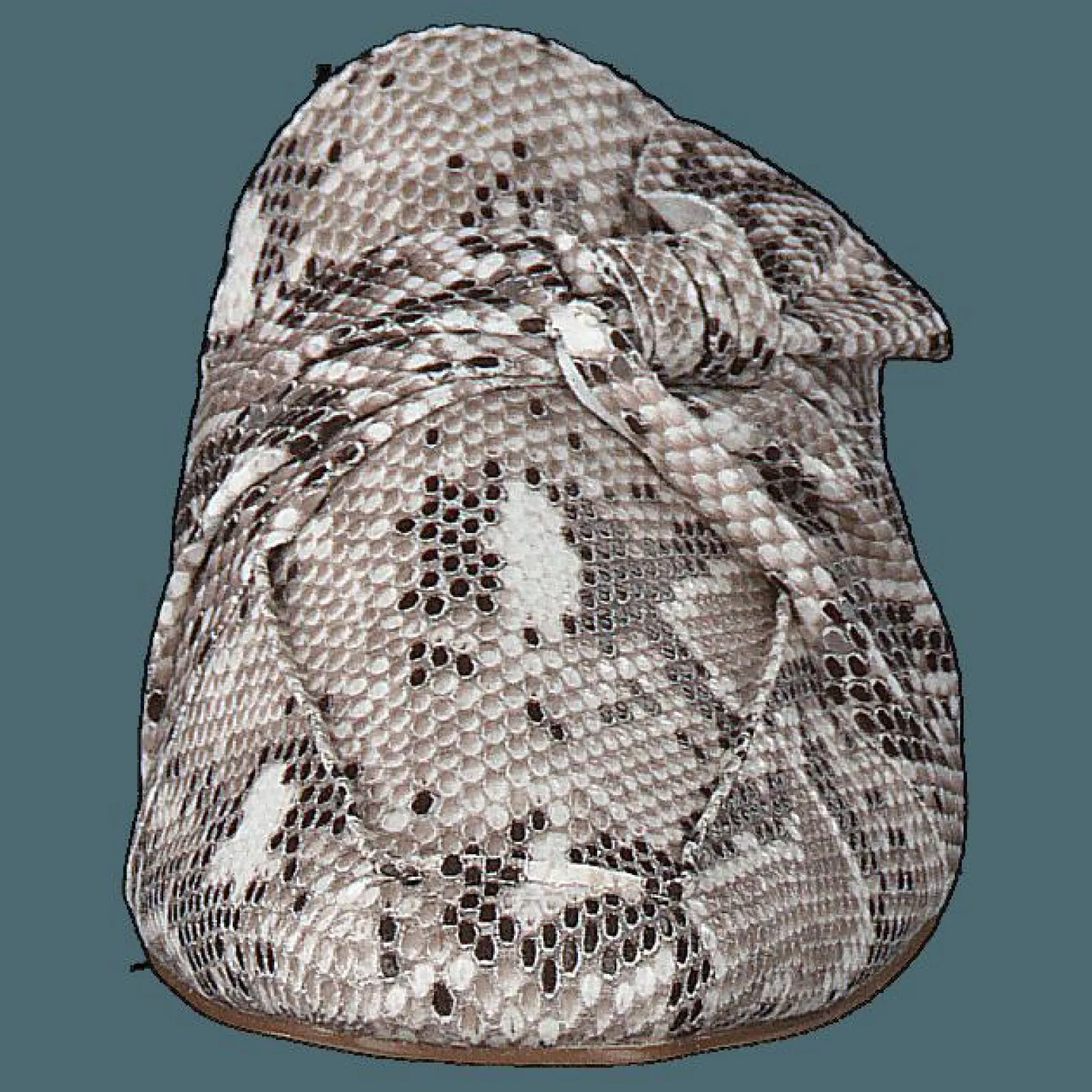 Bianco Birke Assymetric Bow Mule 610 - Snake