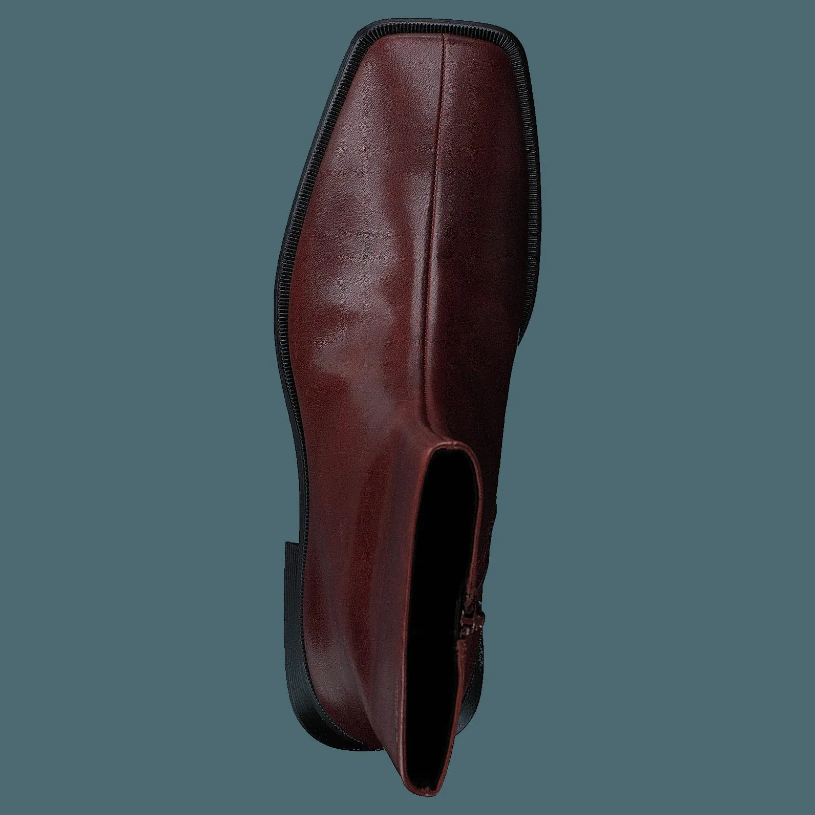 Vagabond Blanca Chestnut