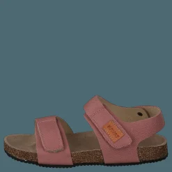 Barn Kavat Bomhus Ep Ash Rose