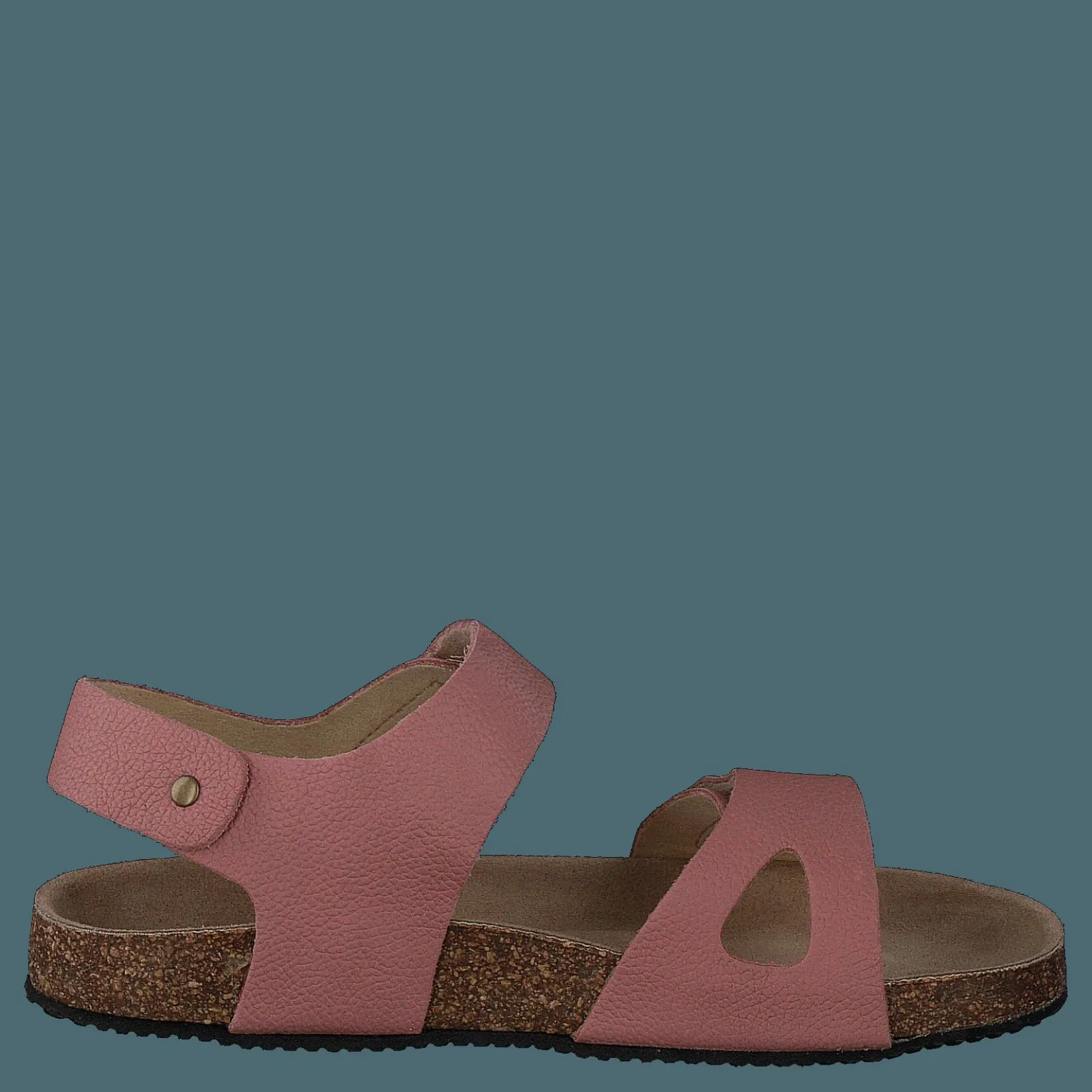 Barn Kavat Bomhus Ep Ash Rose