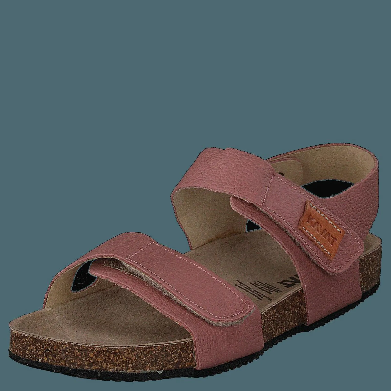 Barn Kavat Bomhus Ep Ash Rose