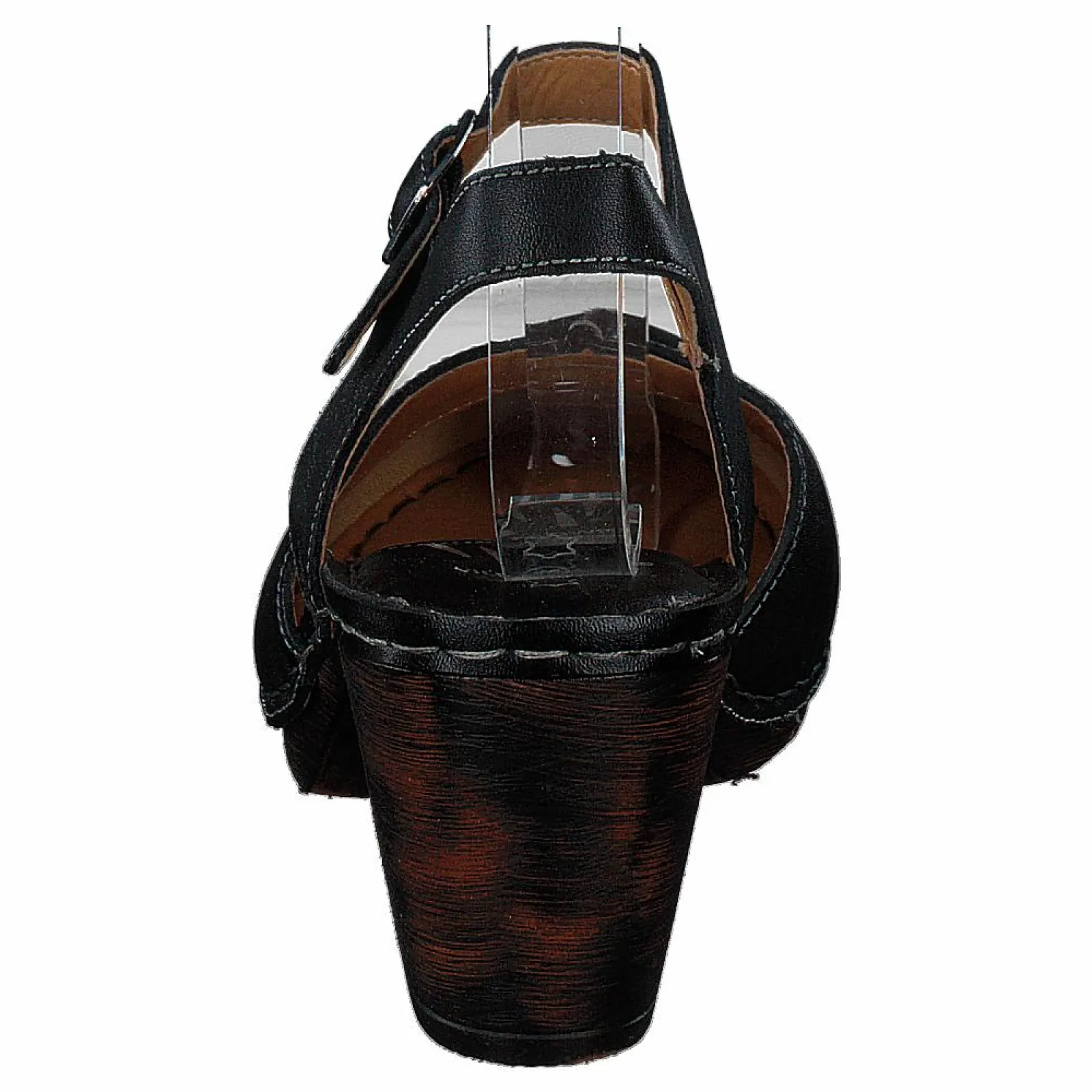 Wildflower Carlos Black 06