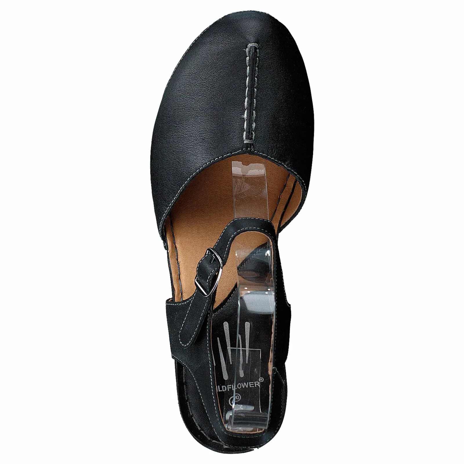 Wildflower Carlos Black 06