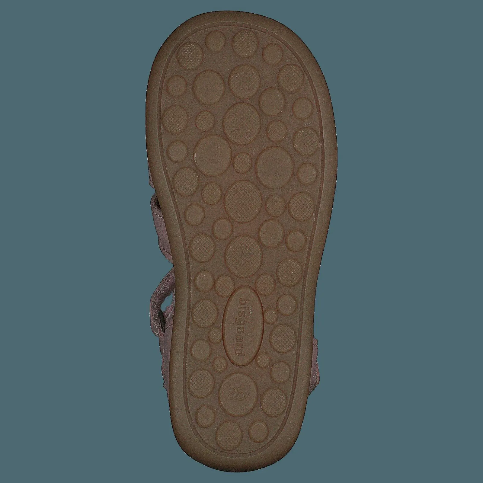 Barn Bisgaard Carly Rose