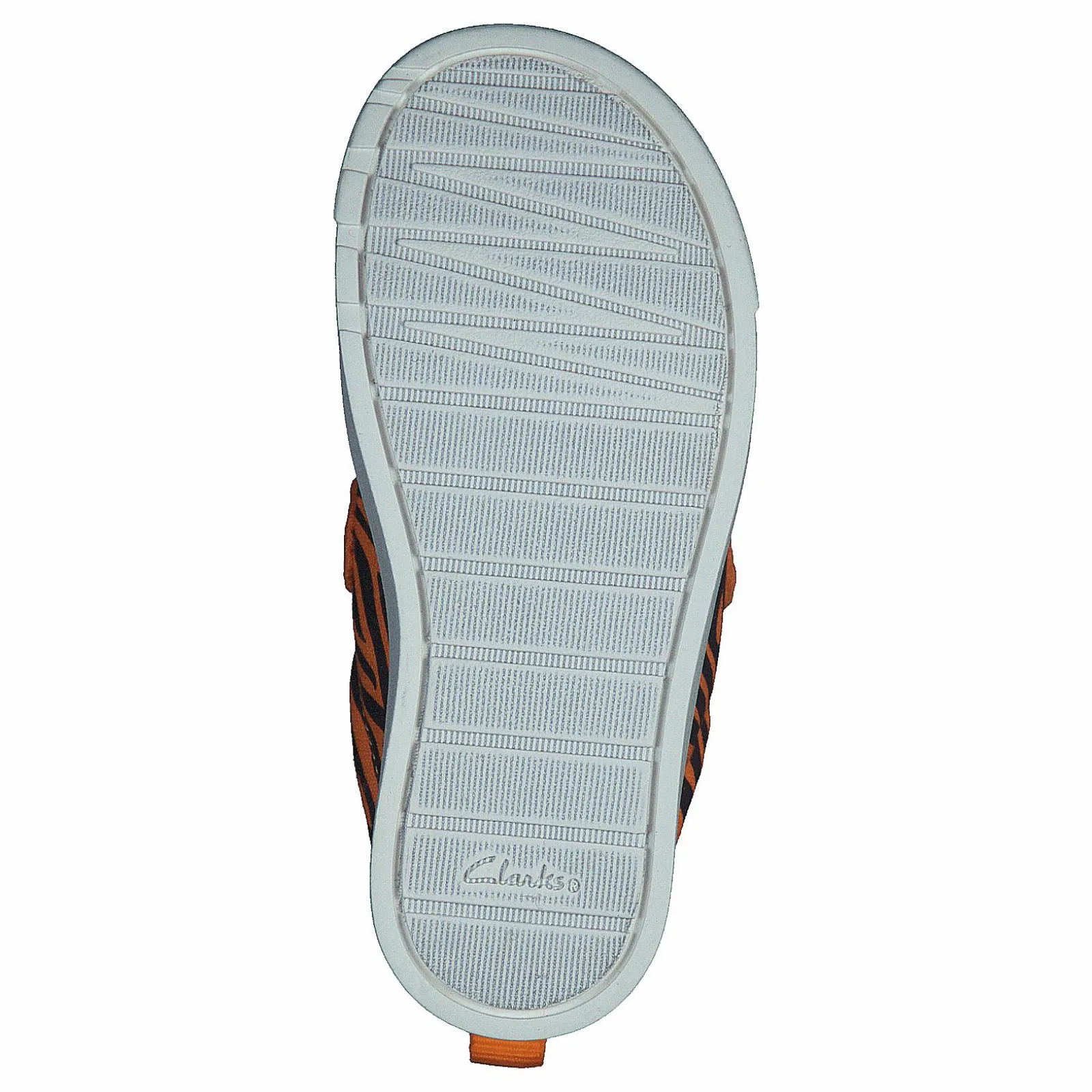 Barn Clarks City Bright T Tiger Print