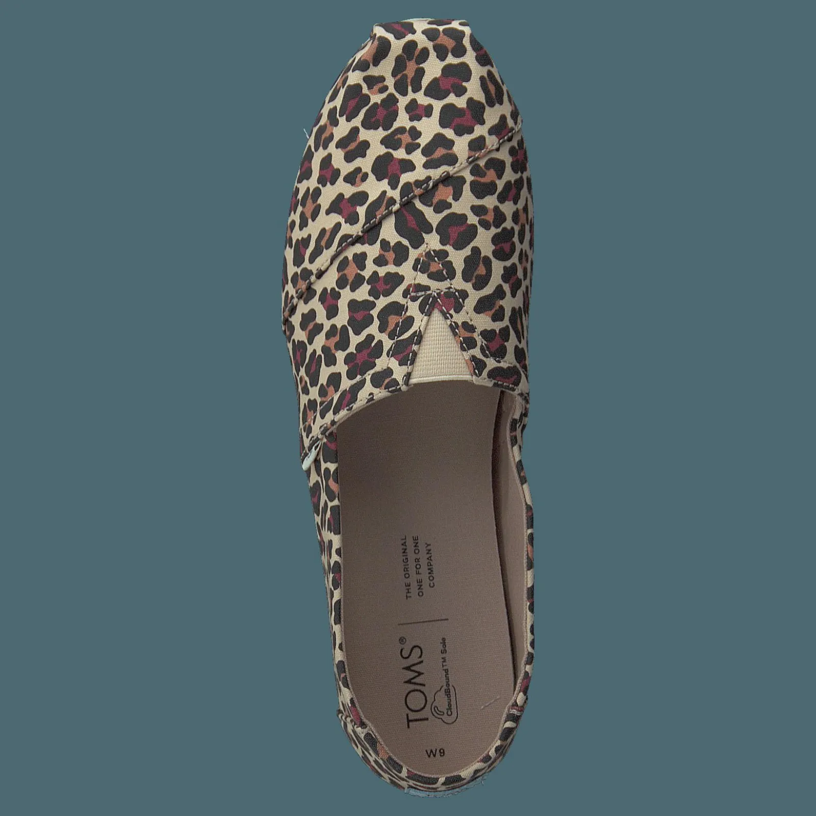 Toms Classic Leopard Print Beige