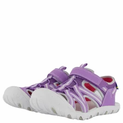 Barn Pax Cloudi Purple