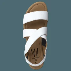 Wildflower Cuesta White