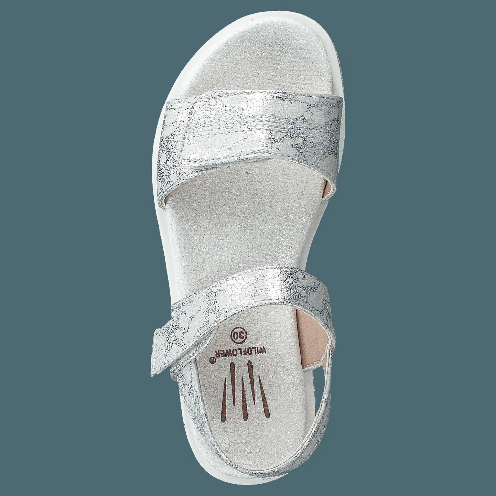 Barn Wildflower Desi Silver