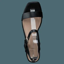 Aldo Eloiniel Black