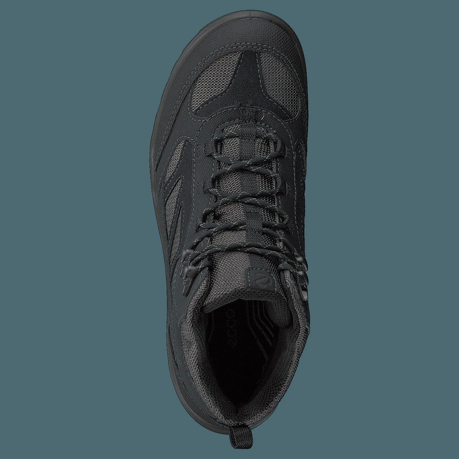 ECCO Expedition Iii Black/black Mole