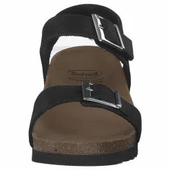 Scholl Filippa Sandal Black