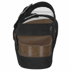 Scholl Filippa Sandal Black