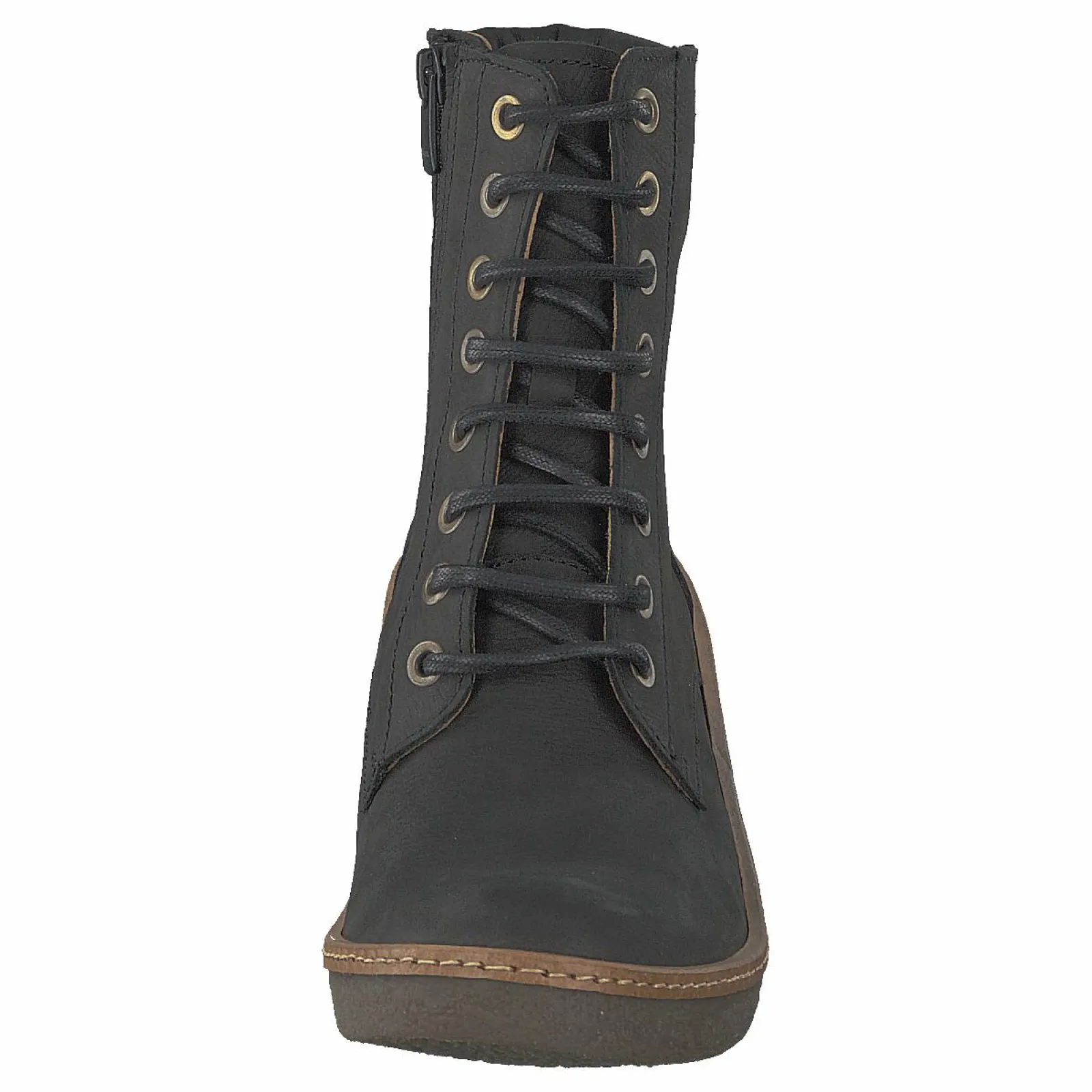 El Naturalista Haya Black