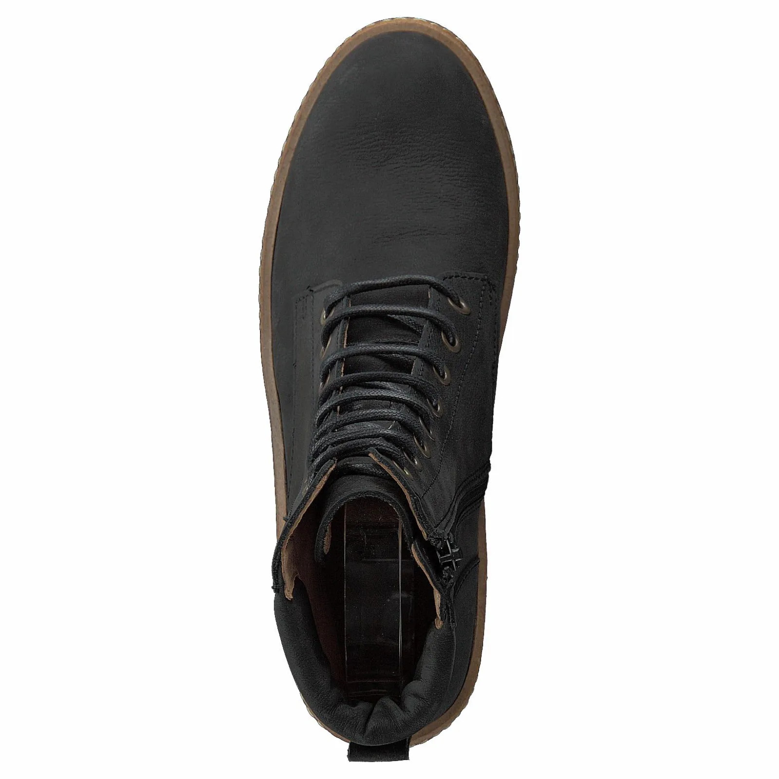 El Naturalista Haya Black