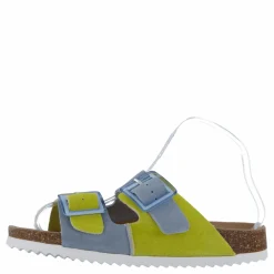 Colors of California Hc.bio403 Den