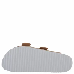 Colors of California Hc.bio410 Fpin