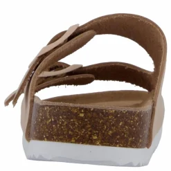 Colors of California Hc.bio410 Fpin