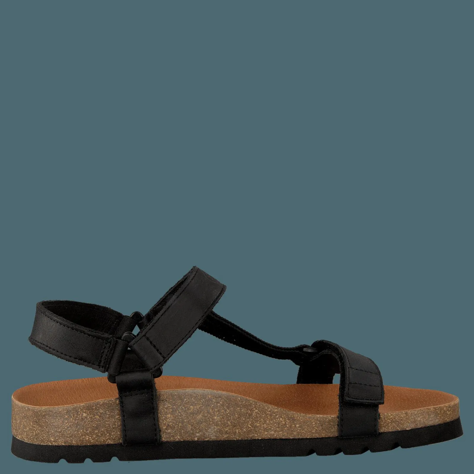 Scholl Heaven AD Black