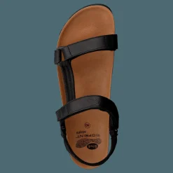 Scholl Heaven AD Black