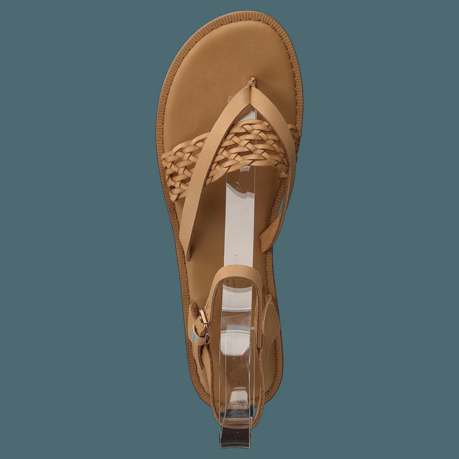 Toms Honey Leather Cognac