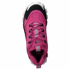 CAT Intruder Azelea Pink