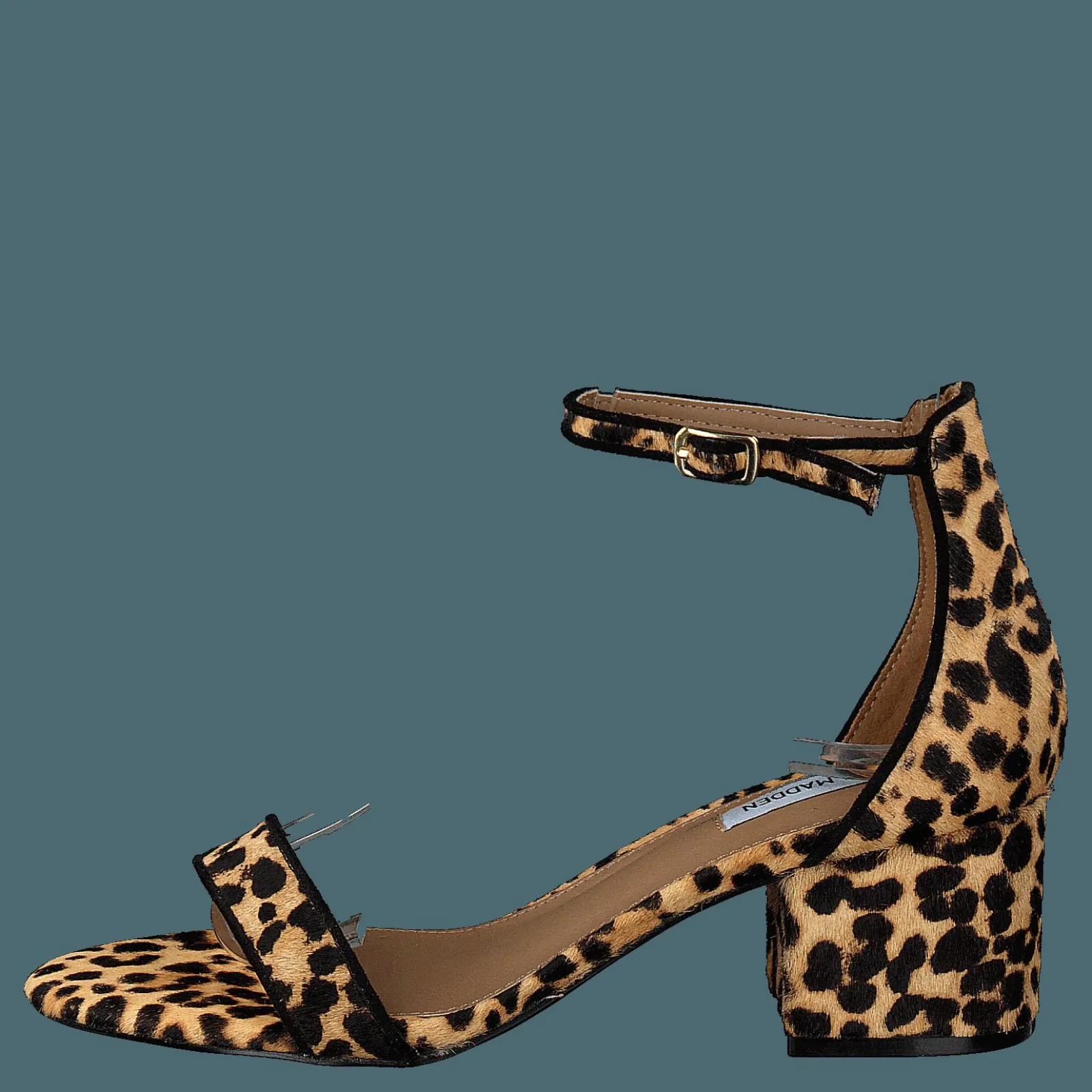 Steve Madden Irenee-l Leopard