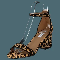 Steve Madden Irenee-l Leopard