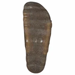 Barn Superfit Jellies Gold