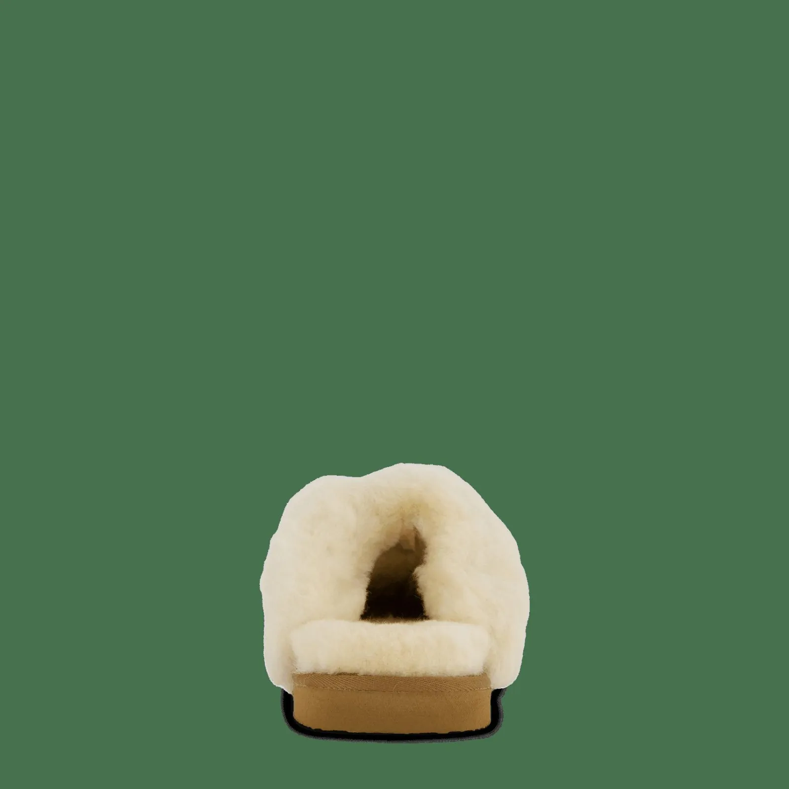 Shepherd Jessica Chestnut