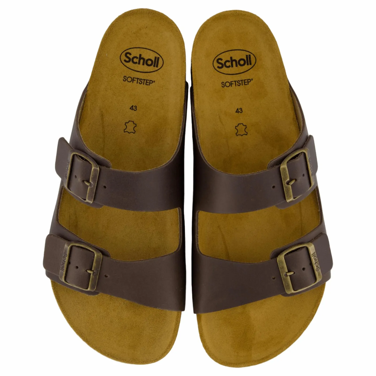 Scholl Iconic Julien Coffee