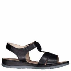 Caprice Karin Black Met.comb