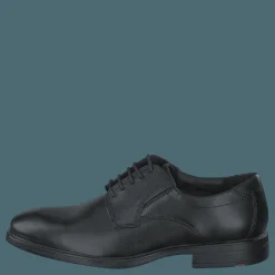 Lloyd Kentucky Black