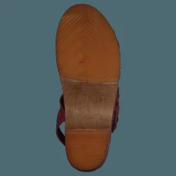 Mohedatoffeln Klara Red