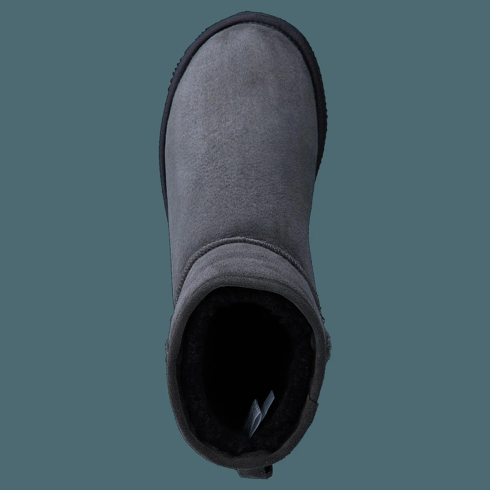 Shepherd Laura Asphalt