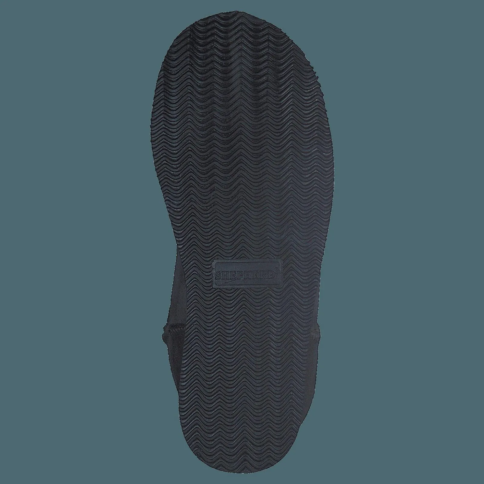 Shepherd Laura Asphalt